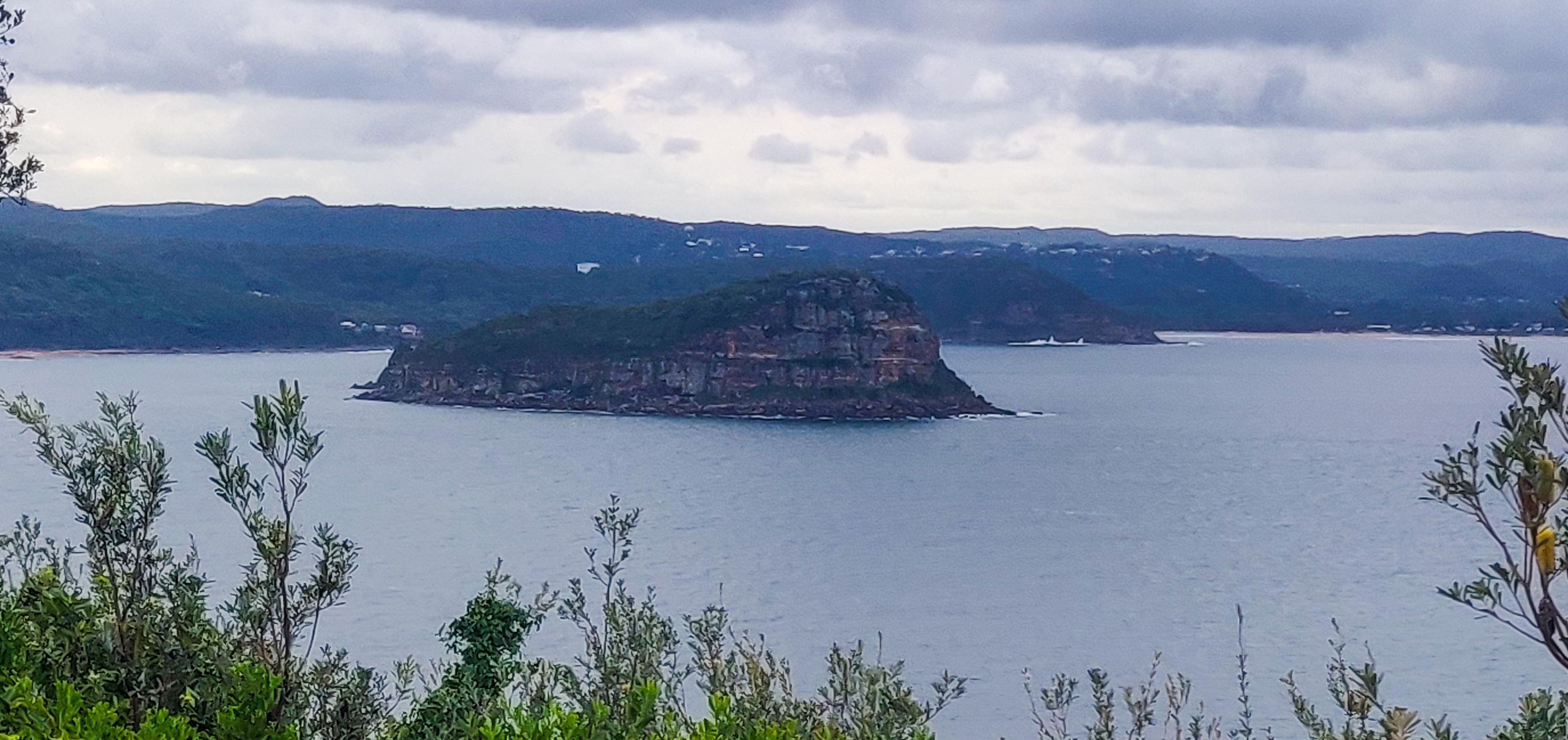 Lion Island